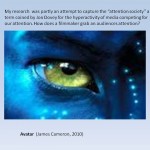 I introduced the presentation by talking about why I had chosen to make an installation.  Avatar was an instance of trying to capture an ever diverse and scattered audience by an immersive experience.