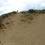 Echo runs away along sand dunes (on cutting room floor) 02