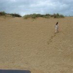 Echo runs away along sand dunes (on cutting room floor) 03