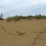 Echo runs away along sand dunes (on cutting room floor) 01