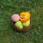 Fruit bowl (Zeus trips over it)