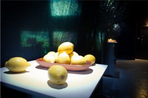 Fruit bowl from entrance (walkway) to installation